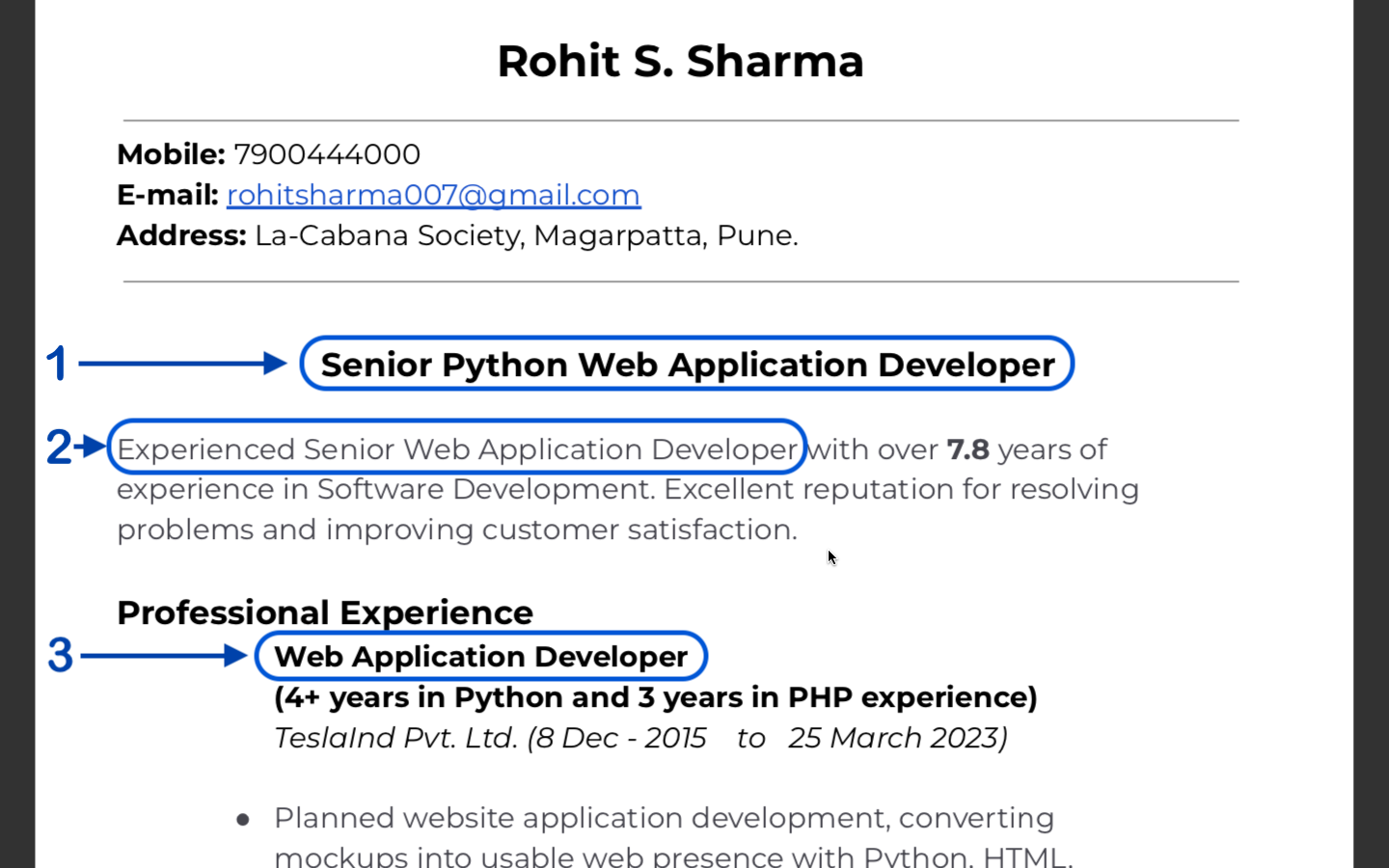 resume-job-title-section